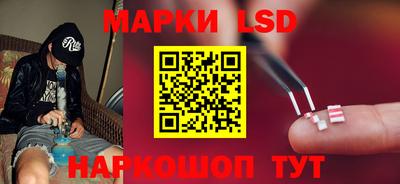 крисы Новокубанск