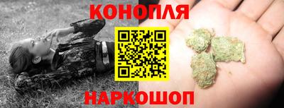 крисы Новокубанск