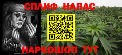 крисы Новокубанск