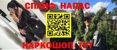 крисы Новокубанск