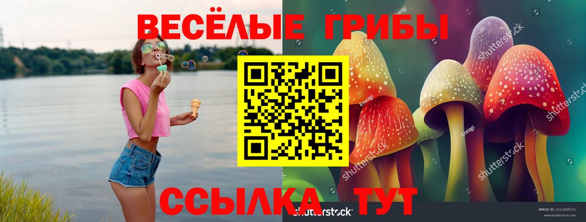 Галлюциногенные грибы Magic Shrooms Тулун